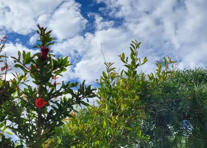 Torre Del Pizzo Villa Gallipoli