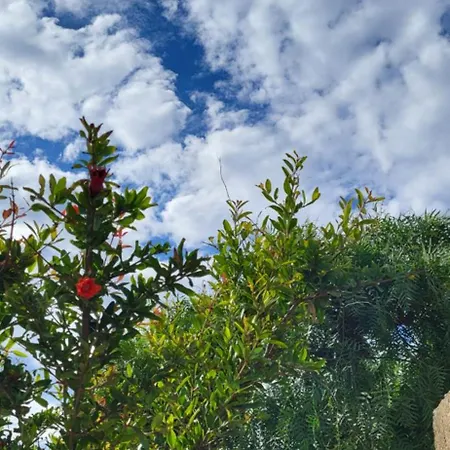 Torre Del Pizzo ヴィラ ガリポリ