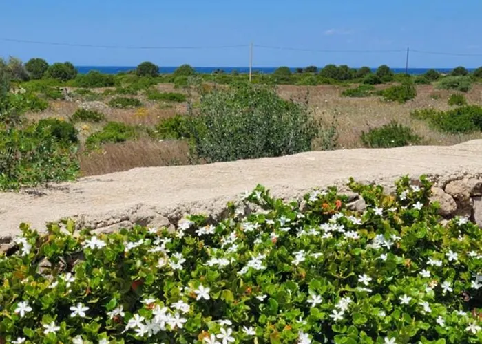 Torre Del Pizzo * Gallipoli